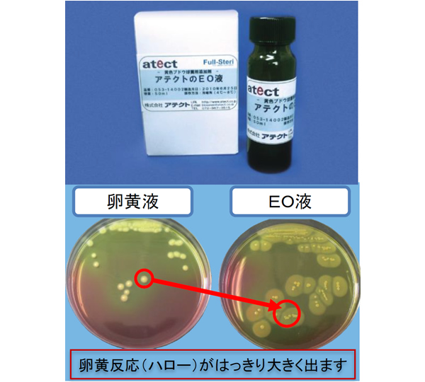 アテクトのEO液 (黄色ブドウ球菌用)滅菌済