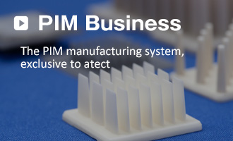 PIM Business