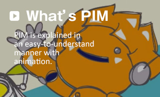 What's PIM
