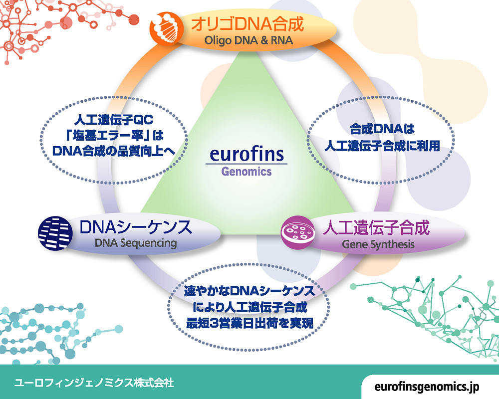 ユーロフィンジェノミクス受託サービス スピード&品質にこだわります！国内拠点にあるからこそ実現