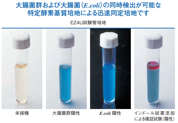 EZ4U試験管培地